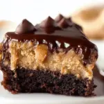 Chocolate Peanut Butter Ooey Gooey Cake