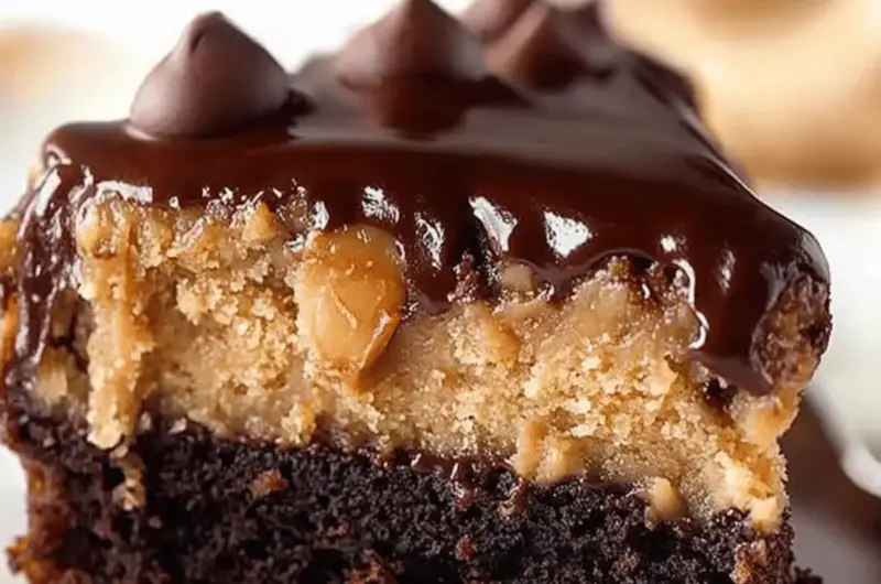 Chocolate Peanut Butter Ooey Gooey Cake