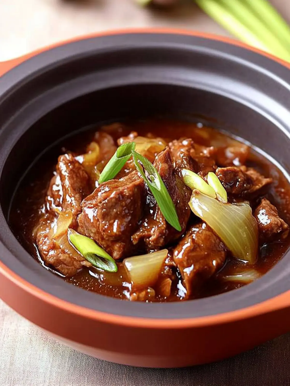 Chinese Braised Beef